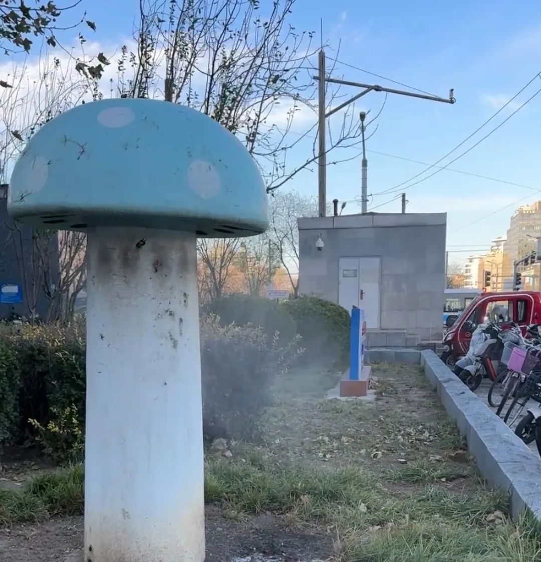 北京街头2米高神秘“蘑菇”，你见过吗？网友大胆猜想......