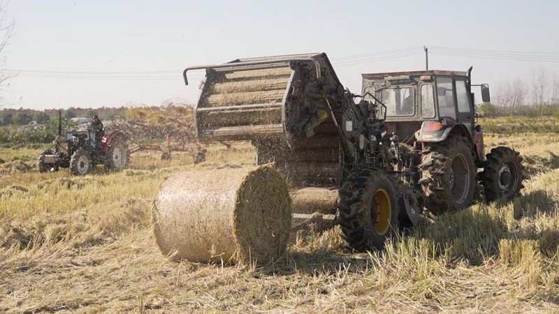 南京六合：秸秆离田 “变废为宝”