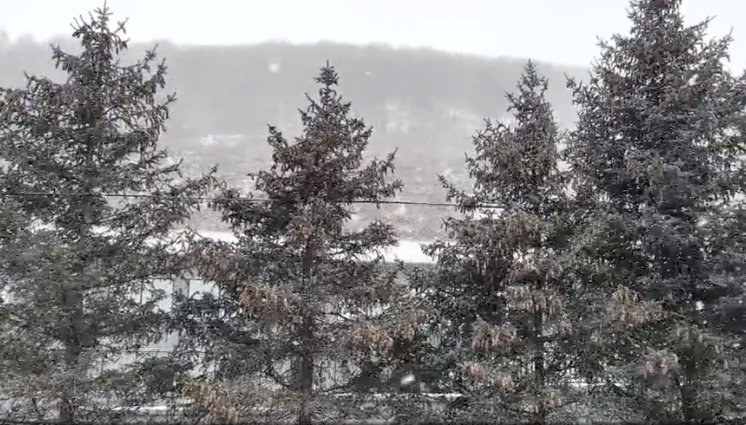 今日大雪，北京真的下雪了！