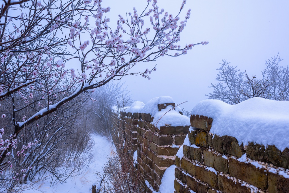 大雪到啦,北京初雪什么时候来? 大雪到啦,北京初雪什么时候来?