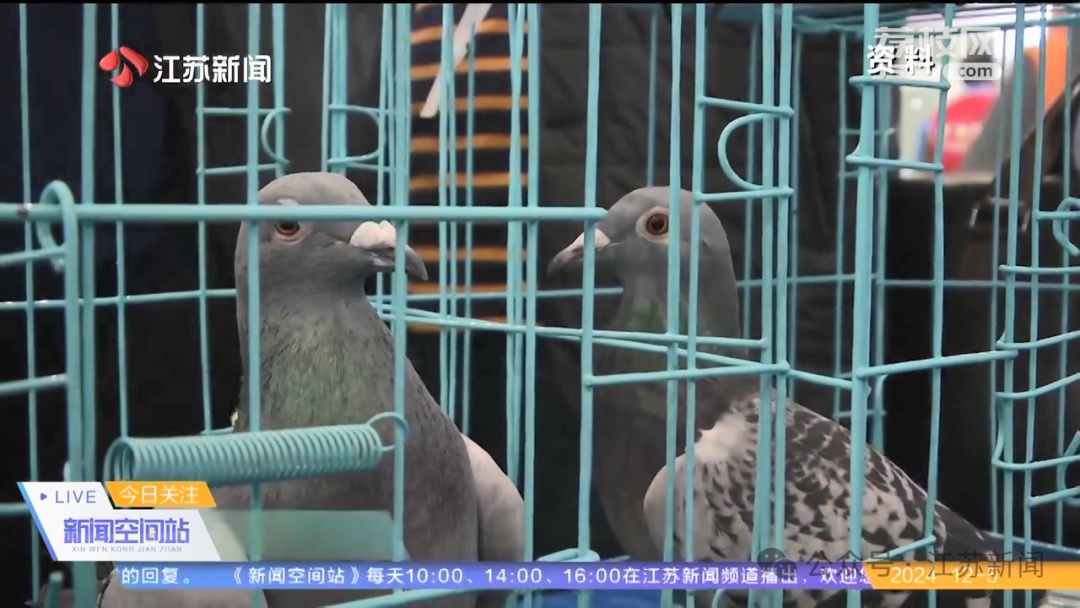 微信群里“吹的牛”一定要履行吗?法院这样判…… 微信群里“吹的牛”一定要履行吗?法院这样判……