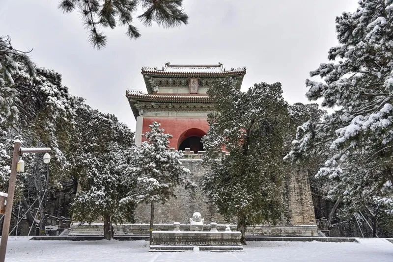 明十三陵永陵、思陵首次向公众开放