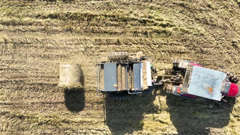 南京六合：秸秆离田 “变废为宝”