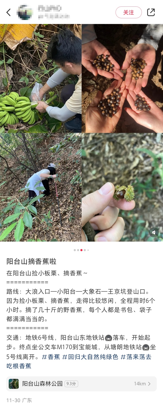 深圳一公园可以摘香蕉、捡板栗？官方回应