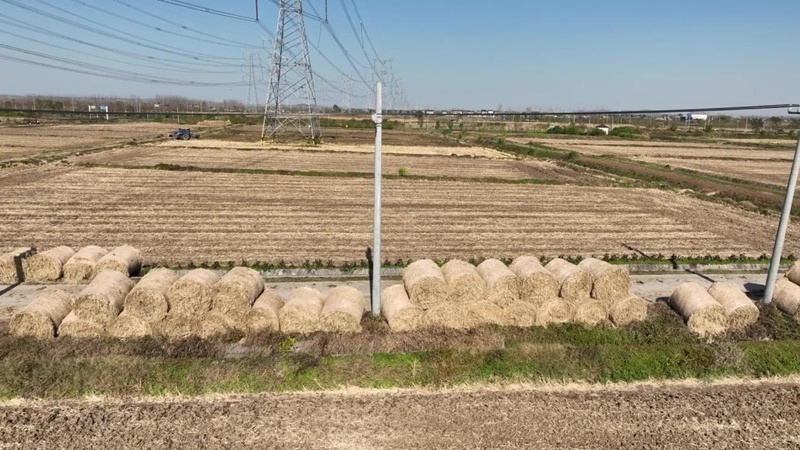 南京六合：秸秆离田 “变废为宝”