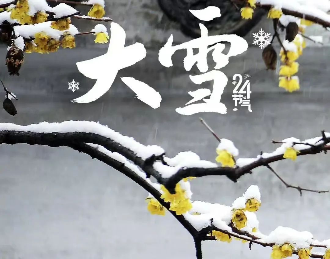 上海发布空气重污染黄色预警！今天到明天上午PM2.5中度污染，外出请做好防护