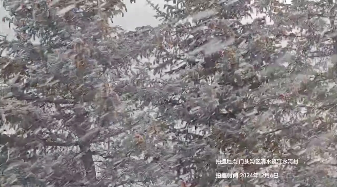 今日大雪，北京真的下雪了！
