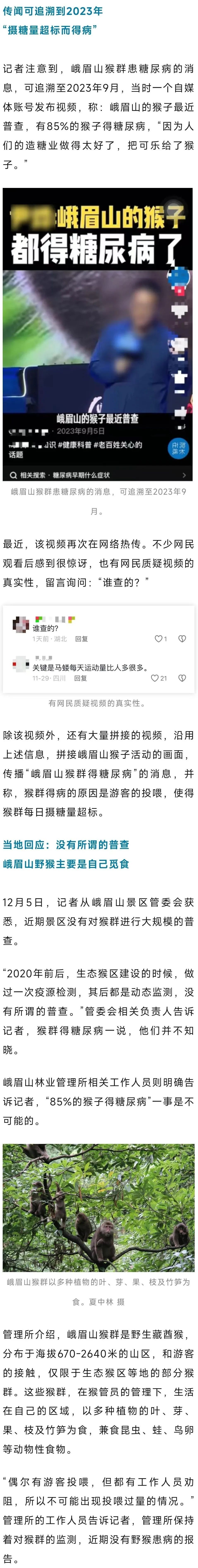 峨眉山猴子85%有糖尿病?官方回应 峨眉山猴子85%有糖尿病?官方回应