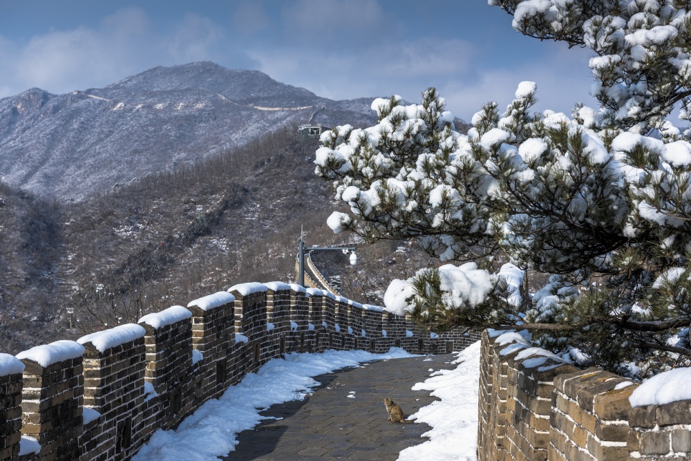 大雪到啦,北京初雪什么时候来? 大雪到啦,北京初雪什么时候来?