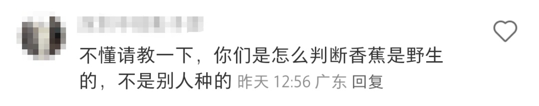 深圳一公园可以摘香蕉、捡板栗？官方回应
