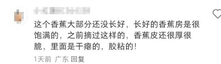 深圳一公园可以摘香蕉、捡板栗？官方回应