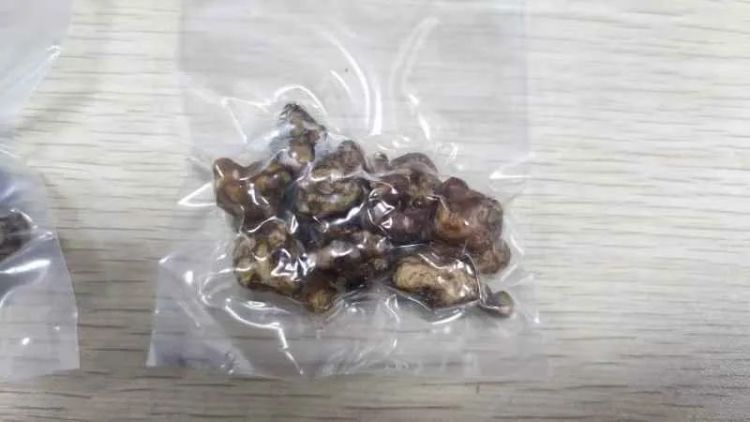 深圳邮局海关查获致幻蘑菇,已移交海关缉私部门处理 深圳邮局海关查获致幻蘑菇,已移交海关缉私部门处理