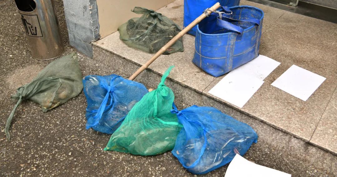 在杭州湾湿地非法狩猎！4人被现场抓获