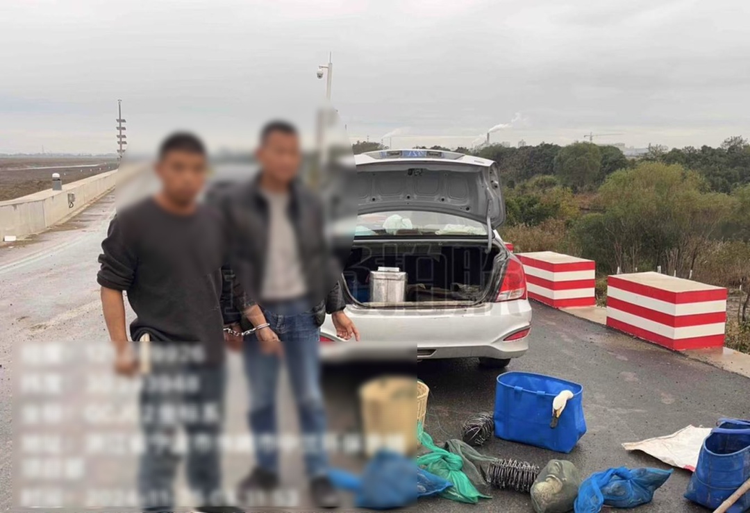 在杭州湾湿地非法狩猎！4人被现场抓获