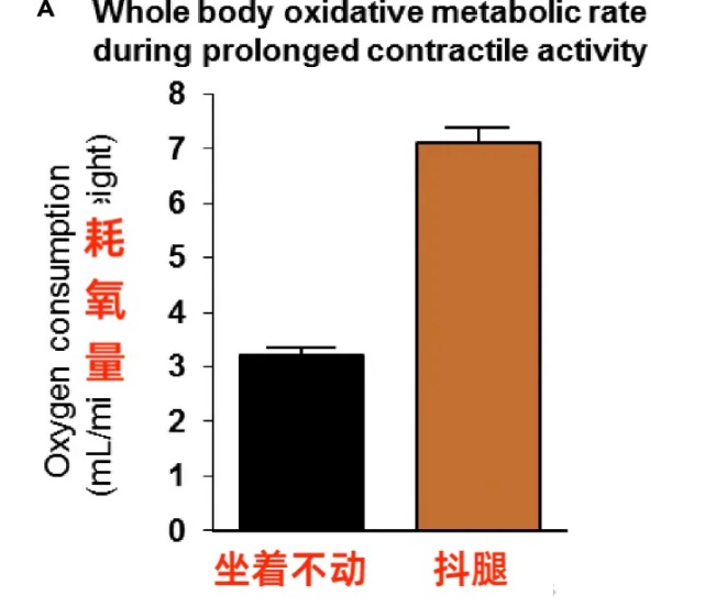 久坐人群心血管病风险高！每天30分钟，或让血管“年轻5岁”