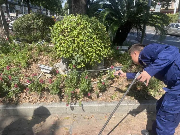 路口花基竟“潜伏”着剧毒眼镜王蛇！市民果断报警……