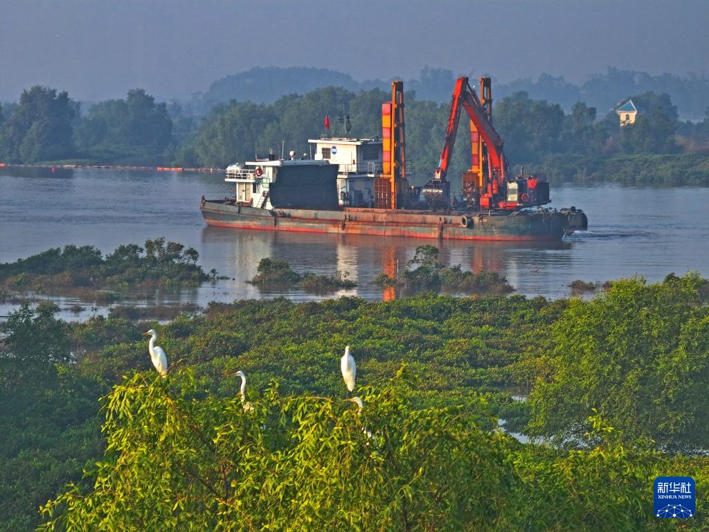 平陆航道白鹭飞