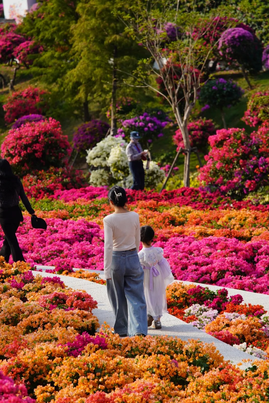 冷冷冷！低至12℃，即将开启“降温＋大风”模式，厦门下周天气将……