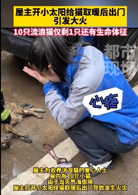 给“喵主子”送温暖，结果变成“烤猫”事件！