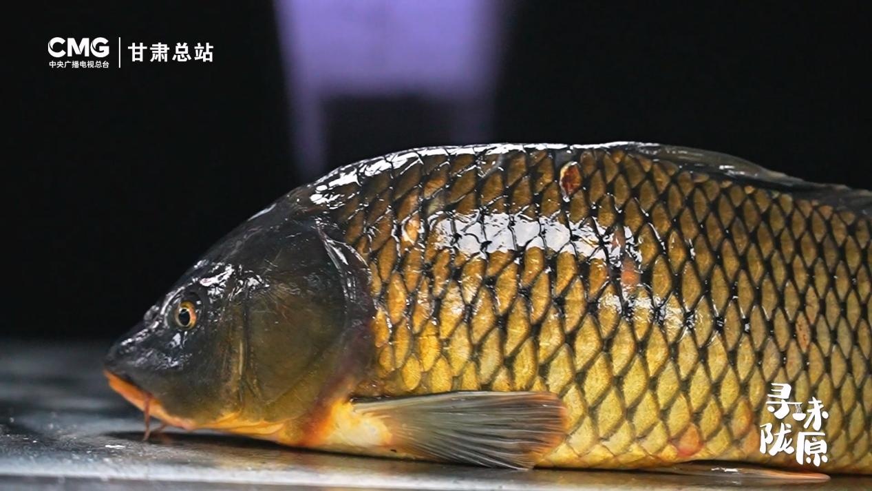 寻味陇原丨红烧黄河大鲤鱼 鱼之味美在于鲜