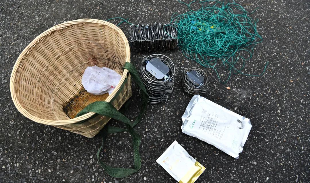 在杭州湾湿地非法狩猎！4人被现场抓获