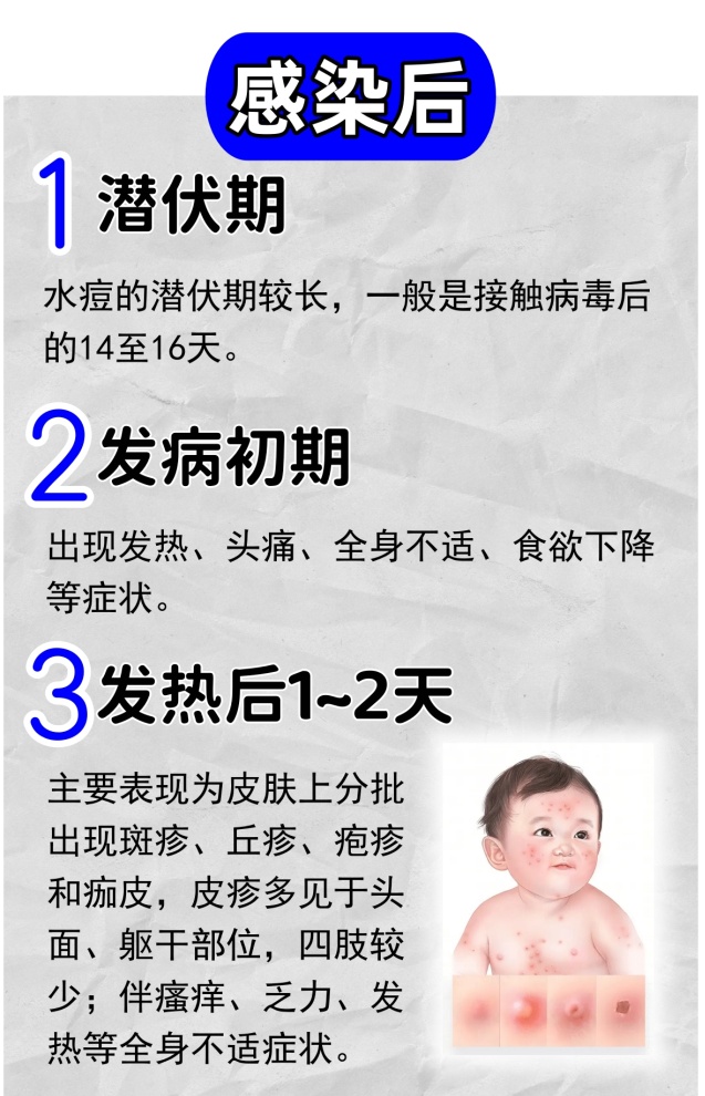 又到水痘高发季，成人感染更厉害！水痘这事儿，长大还要“续约”？