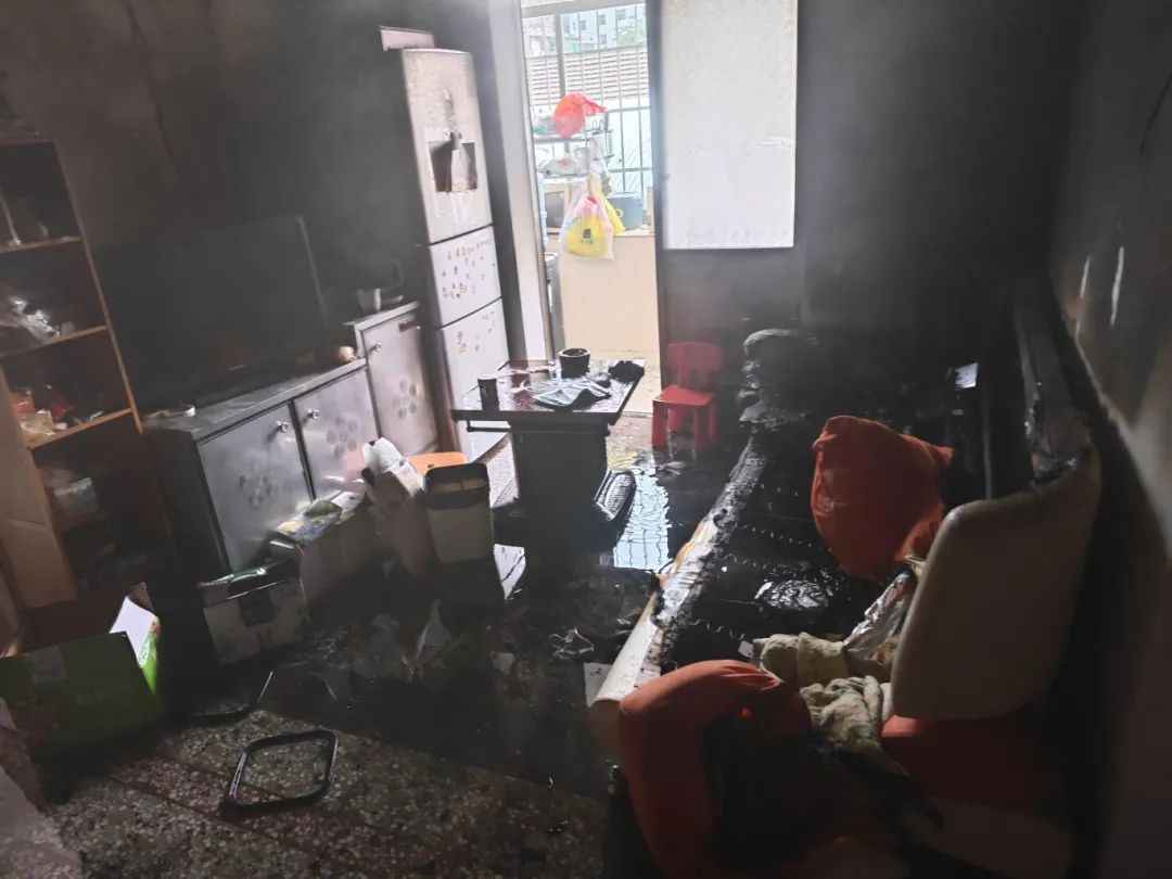 给“喵主子”送温暖，结果变成“烤猫”事件！