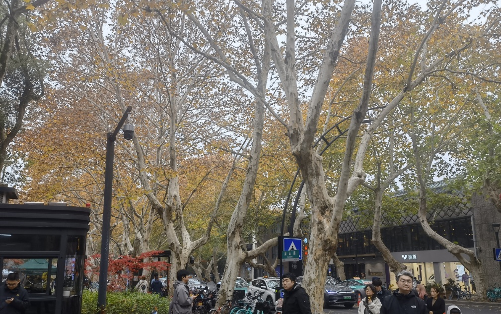 散了散了！今天明显好转！但杭州人明早要注意...