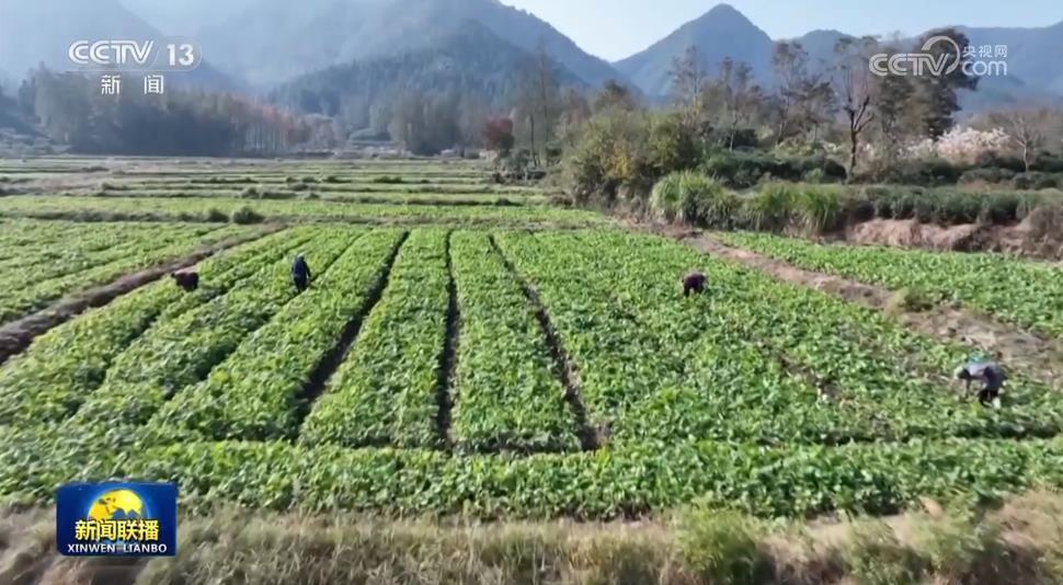 因地制宜做好农田冬管 夯实丰收基础