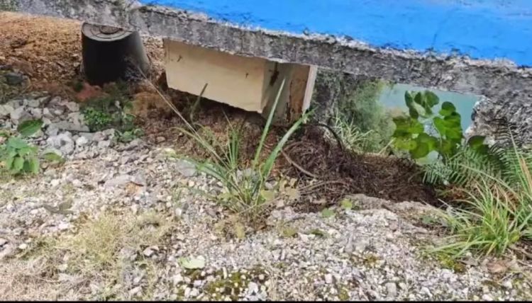 湘西6岁男孩滑下40米高悬崖,找到时……救援人员惊呆! 湘西6岁男孩滑下40米高悬崖,找到时……救援人员惊呆!