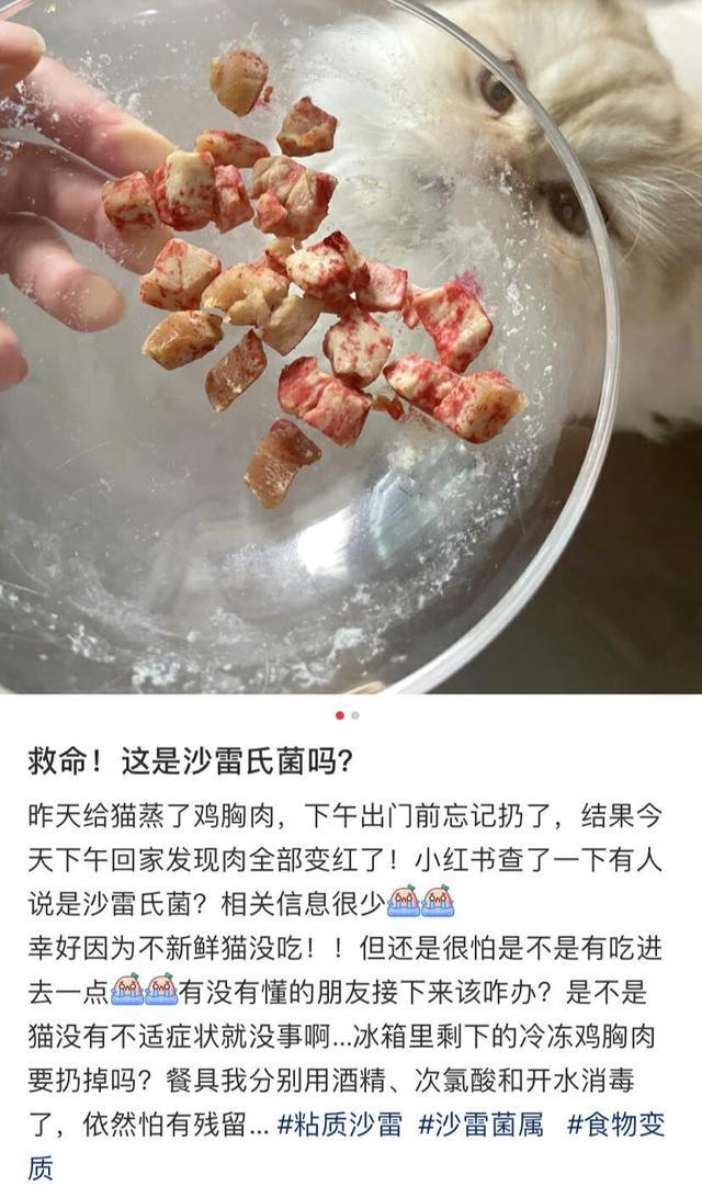 好可怕！为什么马桶里总是有一圈红色啊啊啊？