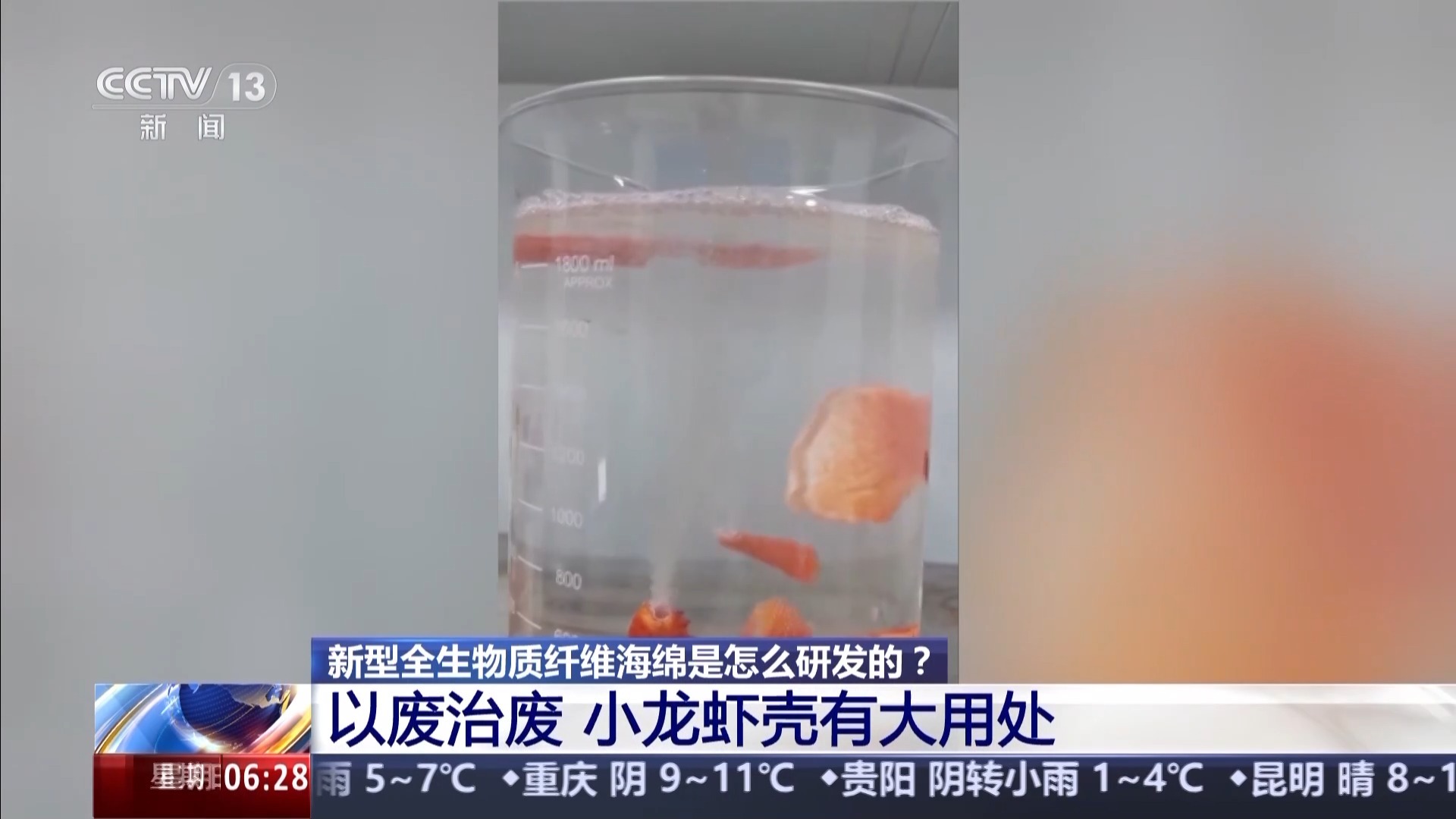 超强吸附 还能生物降解 这块变废为宝的海绵不一般