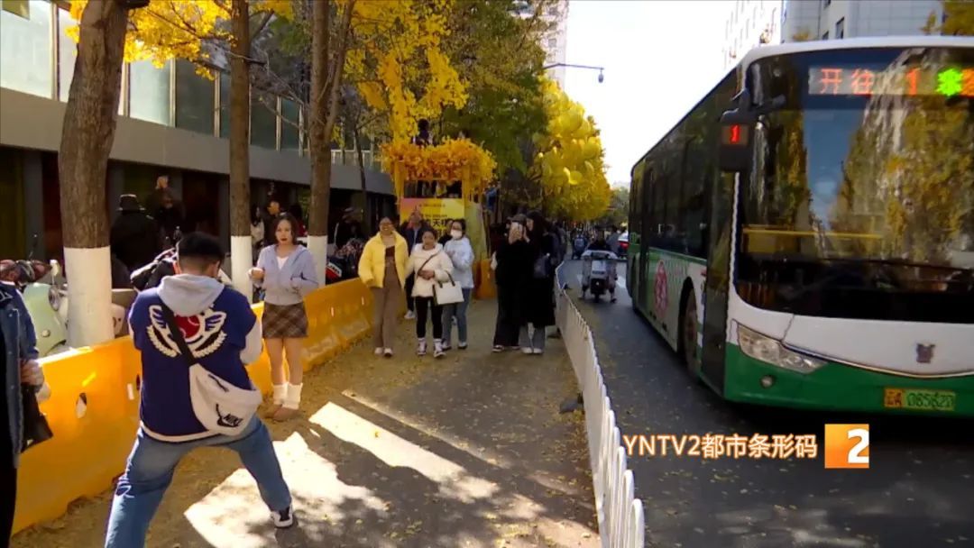 太火了！昆明这条冬日限定网红大街上线！网友：一百米走了40分钟！