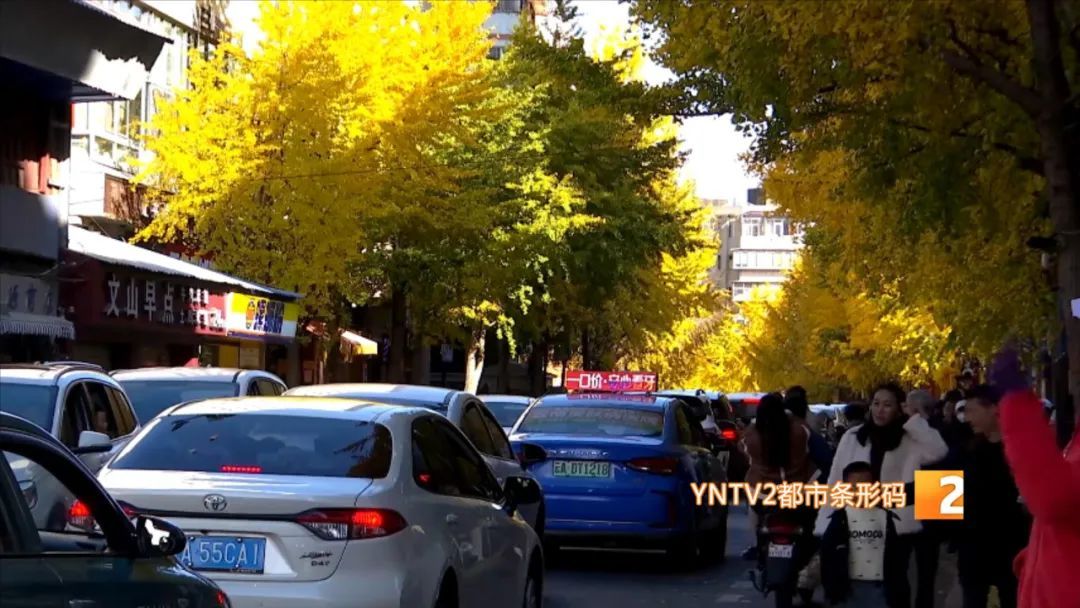 太火了！昆明这条冬日限定网红大街上线！网友：一百米走了40分钟！