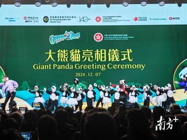 “安安”“可可”!中央政府赠港大熊猫公布正式命名 “安安”“可可”!中央政府赠港大熊猫公布正式命名