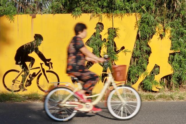 每天4分钟，心脏病风险降45%！这类“高性价比运动”了解一下！