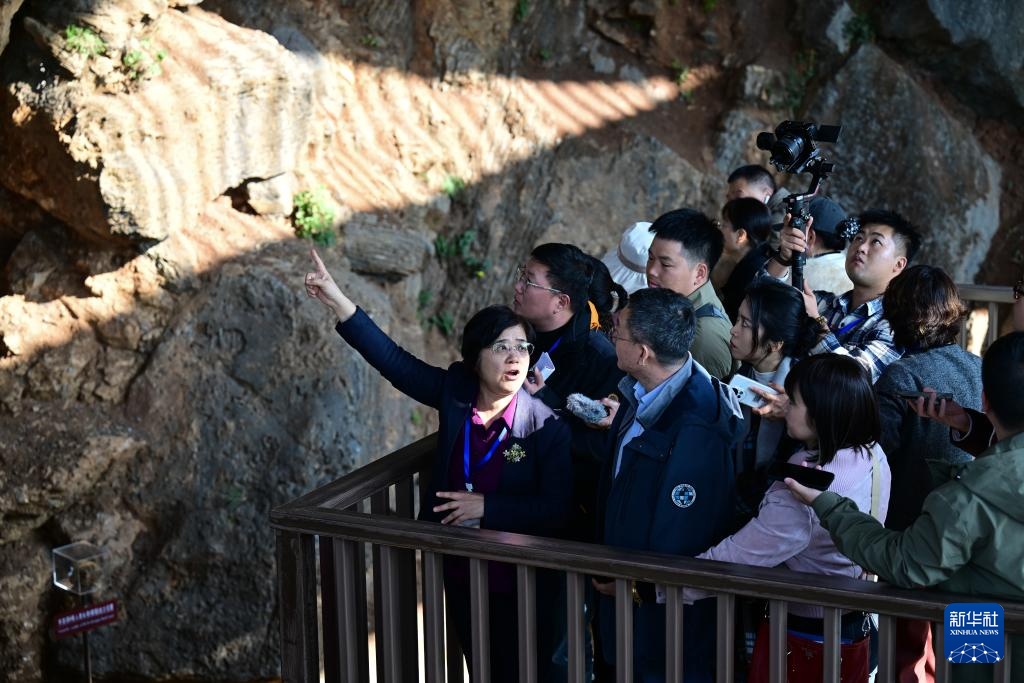 新华全媒+丨中国科学家在华龙洞遗址发现东亚地区向智人演化的最早古人类 新华全媒+丨中国科学家在华龙洞遗址发现东亚地区向智人演化的最早古人类