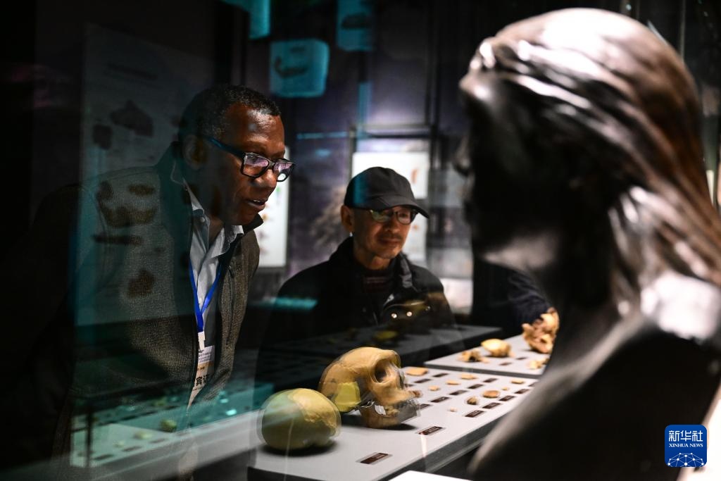 新华全媒+丨中国科学家在华龙洞遗址发现东亚地区向智人演化的最早古人类 新华全媒+丨中国科学家在华龙洞遗址发现东亚地区向智人演化的最早古人类