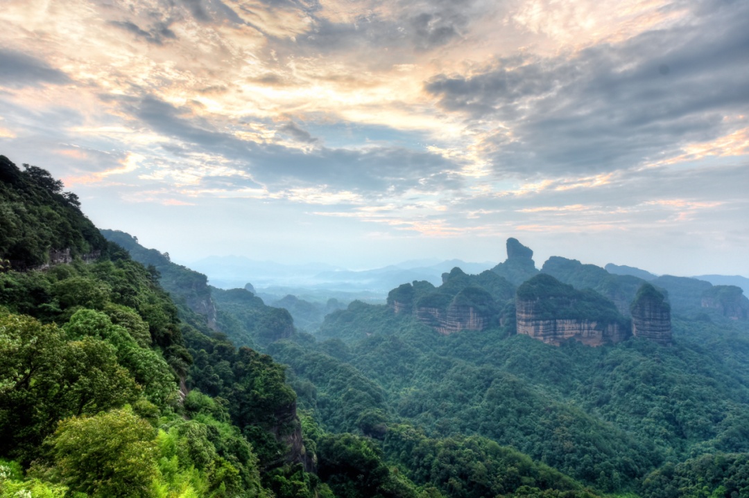 世界首次！广东发现甲虫界“迷你冠军”