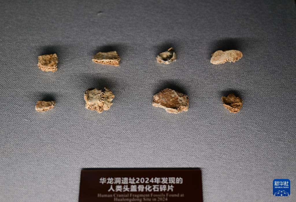 新华全媒+丨中国科学家在华龙洞遗址发现东亚地区向智人演化的最早古人类 新华全媒+丨中国科学家在华龙洞遗址发现东亚地区向智人演化的最早古人类