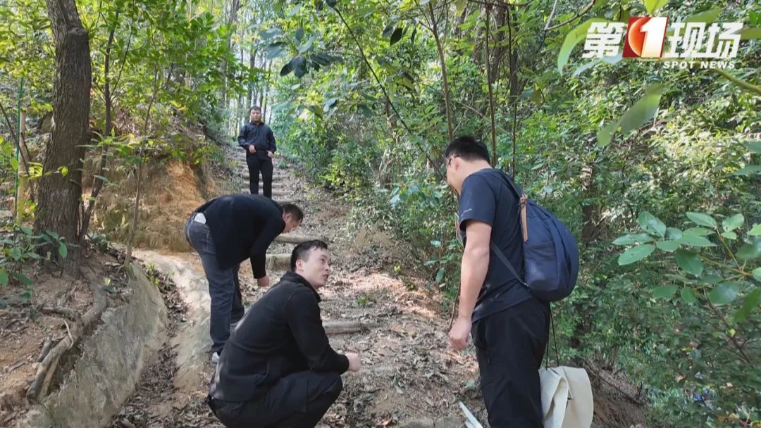 到阳台山公园“打野”？注意这不是板栗！误食有风险