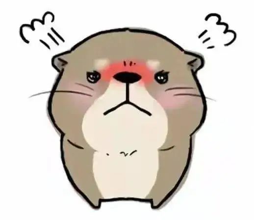 首次被影像记录！国家重点保护动物现身成都主城区