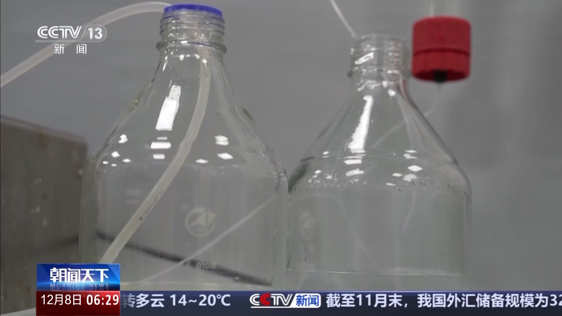 超强吸附 还能生物降解 这块变废为宝的海绵不一般