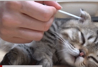 揪心!1岁半宝宝"脑脊液"从耳朵流出,只因模仿大人做了这个动作… 揪心!1岁半宝宝"脑脊液"从耳朵流出,只因模仿大人做了这个动作…