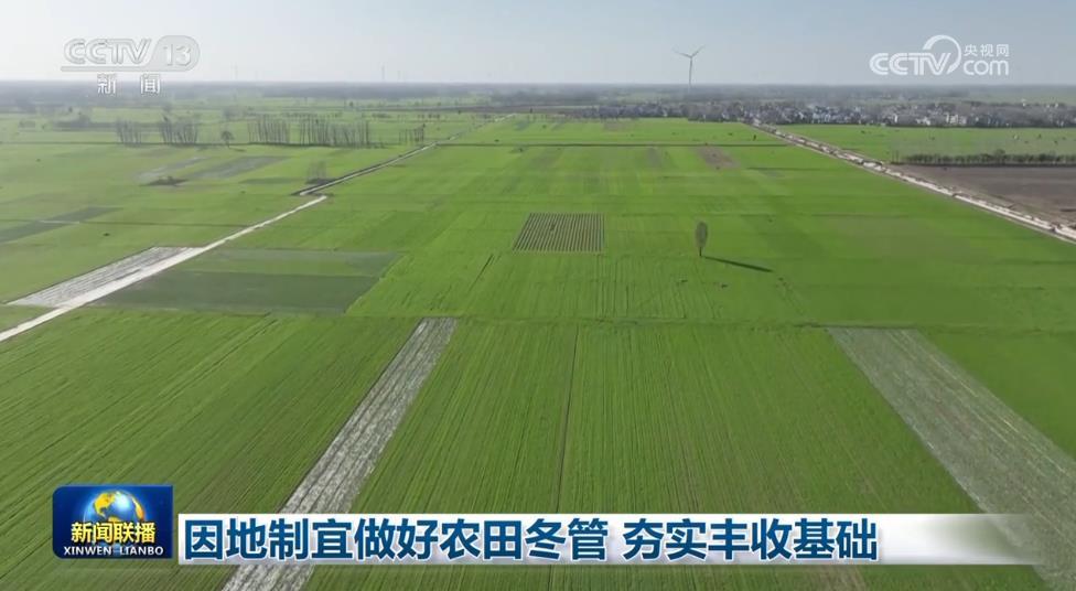 因地制宜做好农田冬管 夯实丰收基础