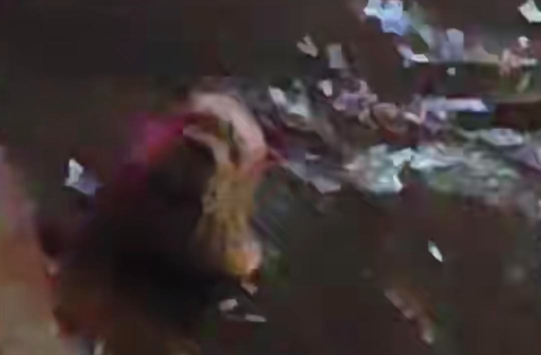 首次被影像记录！国家重点保护动物现身成都主城区