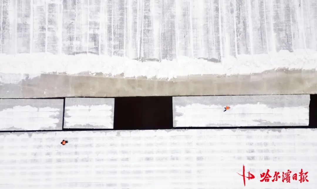 采冰全面展开!哈尔滨冰雪大世界建设加速 采冰全面展开!哈尔滨冰雪大世界建设加速