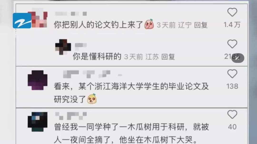 浙江网友在海里钓到一条“带编码”的鱼，出处找到了→