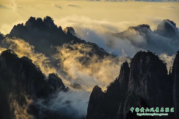 免票!半价!赶紧安排→ 免票!半价!赶紧安排→