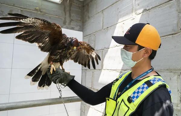 这种眼睛被叫作“恐怖眼”,被放在机场中,会随风转动,不是驱邪而是驱…… 这种眼睛被叫作“恐怖眼”,被放在机场中,会随风转动,不是驱邪而是驱……